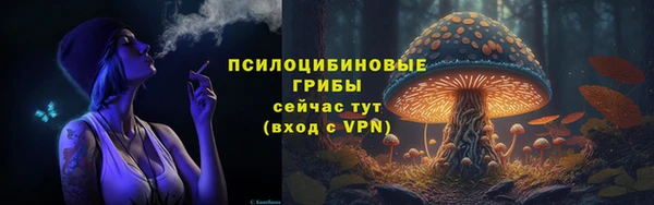 сатива Алзамай