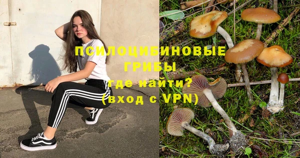 сатива Алзамай