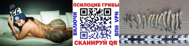 Галлюциногенные грибы Psilocybine cubensis  Стародуб 